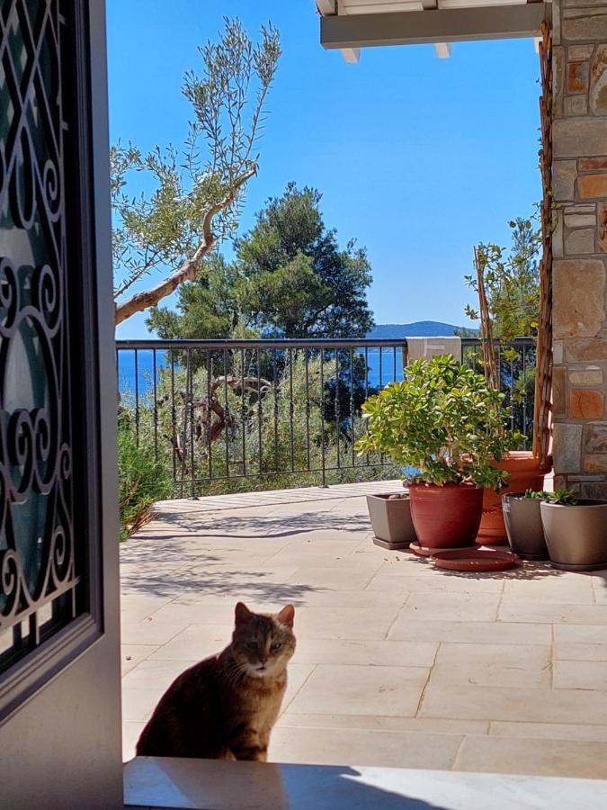 Villa Johell Neos Marmaras Luaran gambar